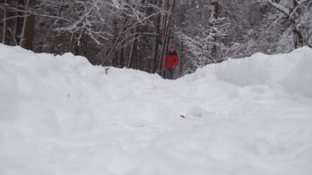 Κάμερα είναι στο ισόγειο, το άτομο περπατά μέσα από χιονισμένο δάσος — Αρχείο Βίντεο