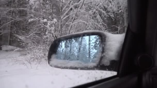 侧镜车的内雪冬季森林特写. — 图库视频影像