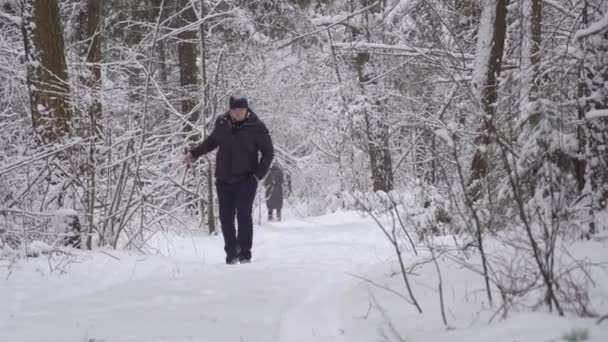 Camera is at ground level, person is walking through snow-covered forest — Stock Video