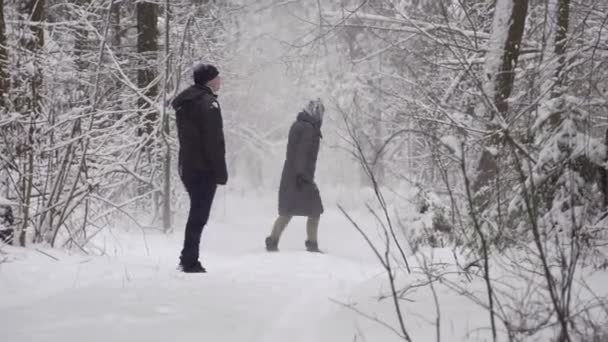 Kamera a földszinten, személy sétál át hófödte erdőben — Stock videók