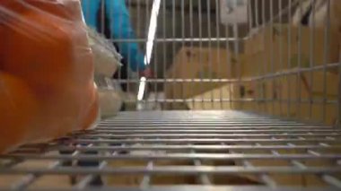 Süpermarkette alışveriş arabalarındaki kameralar. Dükkanda hareket var..