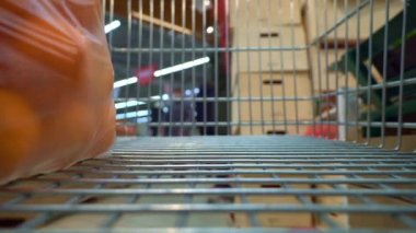 Süpermarkette alışveriş arabalarındaki kameralar. Dükkanda hareket var..