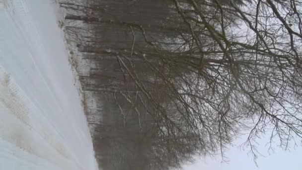 一个带着狗在白雪覆盖的街道上散步的女人. — 图库视频影像