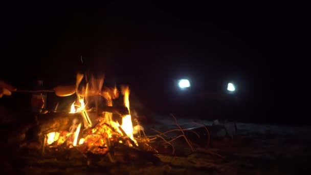 Mulher na fogueira e salsichas fritas em chamas à noite. carro com os faróis ligados. — Vídeo de Stock