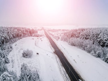 Karlı bir kış ormanında asfalt bir yol, güneşin parlaklığı. Kış yolu koşulları
