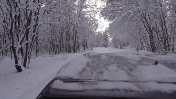 在冬天的森林里，摄像机在车顶上的移动. — 图库视频影像