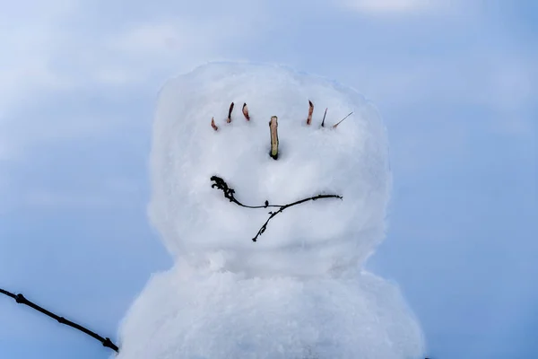 Güzel Mutlu Bir Kardan Adamın Kafası Mavi Bir Gökyüzünün Arka — Stok fotoğraf