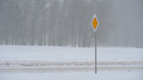 下大雪时在大路上签名.冬季，自然灾害. — 图库视频影像