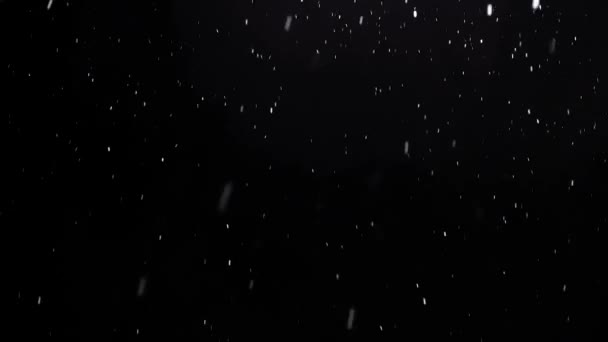 Gerçek kar, yağan kar, 4K 'da siyah zeminde izole edilmiş., — Stok video