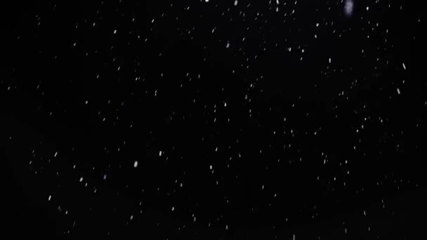 Neve reale, neve che cade, isolata su fondo nero in 4K, — Video Stock