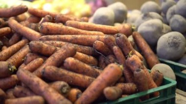 Kadın eli süpermarketteki sepet rafından kirli havucu seçiyor.