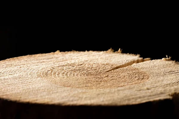 Large round piece of wood with a cross section with a concentric pattern of wood grain texture and cracks on a black background. Background.