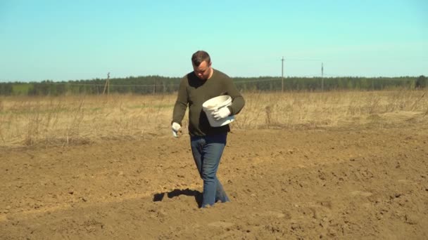 Un granjero camina a lo largo de un surco arado, y planta papas con sus manos. — Vídeo de stock