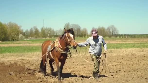 农夫用马拉犁耕地. — 图库视频影像