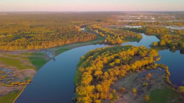 O drone voa sobre uma bela paisagem de verão com um rio ao pôr do sol. — Vídeo de Stock