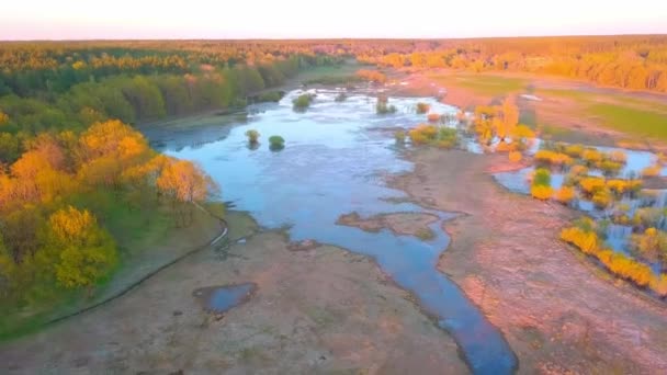 Bela vista do pitoresco Rio Winding rodeado pela floresta ao pôr do sol. — Vídeo de Stock