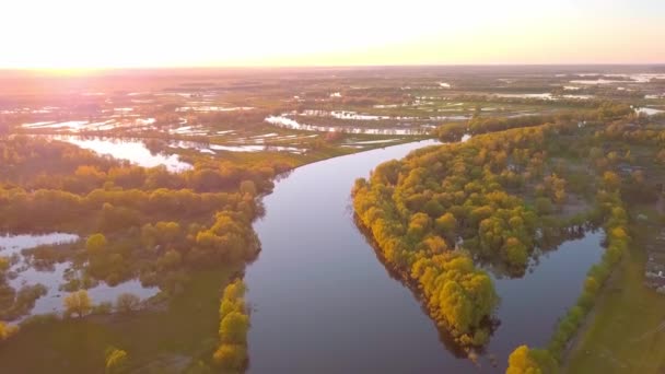 Όμορφη θέα του ποταμού Picturesque Winding περιβάλλεται από δάσος στο ηλιοβασίλεμα. — Αρχείο Βίντεο