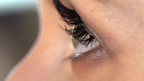 Estilista-maquillaje maestro artista aplica sombra de ojos a un joven modelo — Vídeos de Stock