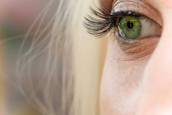 Schöne Makroaufnahme Eines Weiblichen Auges Mit Langen Falschen Wimpern Und — Stockfoto