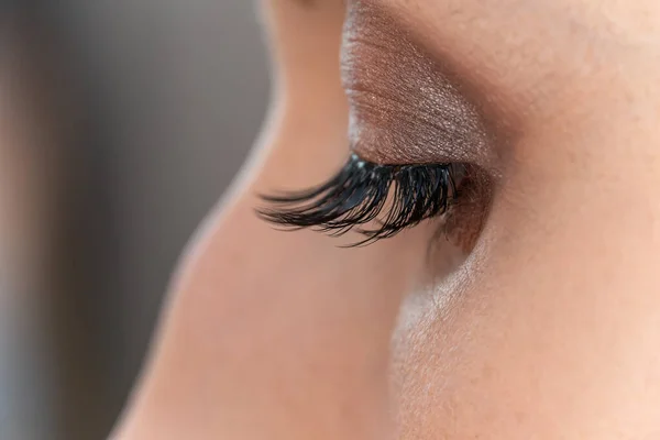 stock image Female eye with makeup and false eyelashes, macrophotography. Beauty industry. Beauty salon concept