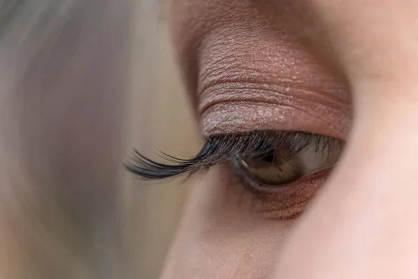 Female eye with makeup and false eyelashes, macrophotography. Beauty industry. Beauty salon concept