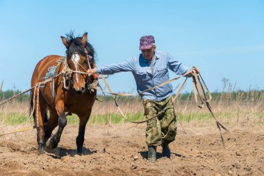 Güneşli bir günde tarlayı harap eden atlı bir çiftçi. Arazide bahar çalışması kavramı