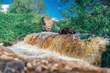 Güneşli bir yaz gününde Belarus 'ta güzel bir şelale.