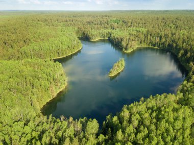 Drone view of the heart-shaped Hlubelka Lake in the forest on a sunny summer day in Narochansky National Park, Belarus. clipart