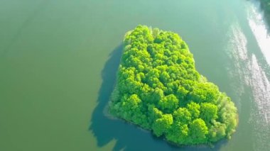 Göl ve kalp şeklinde küçük adanın insansız hava aracı fotoğrafçılığı..