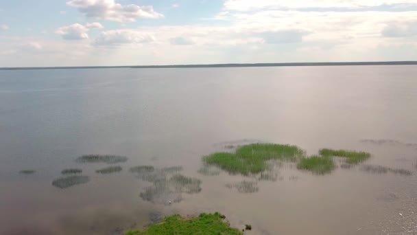 Voando sobre taiga floresta lago. lugar pitoresco, grande lago cercado floresta — Vídeo de Stock