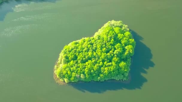 Fotografía aérea desde el dron del lago y la pequeña isla en forma de corazón. — Vídeo de stock