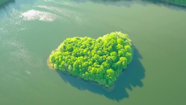 Fotografia lotnicza z drona jeziora i małej wyspy w kształcie serca. — Wideo stockowe