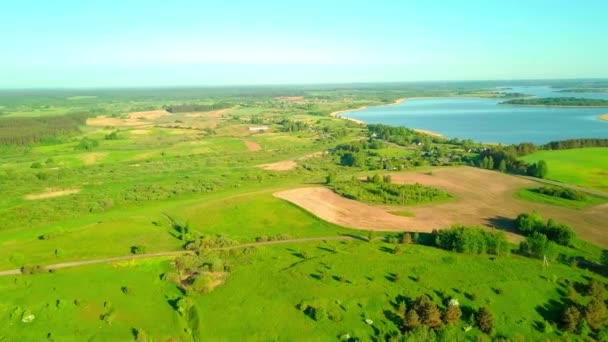 Flyger över skogssjön. pittoresk plats, stor sjö omgiven av skog — Stockvideo