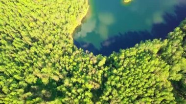 Taiga Orman Gölü 'nün üzerinde uçuyor. Resimli bir yer, büyük bir göl çevresi ormanla çevrili.