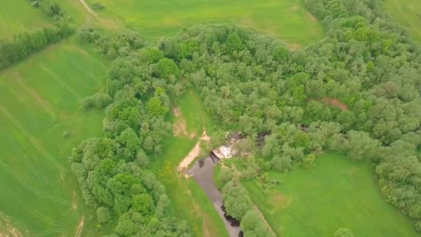 Volare su un fiume e una cascata. un luogo pittoresco circondato dalla foresta — Video Stock