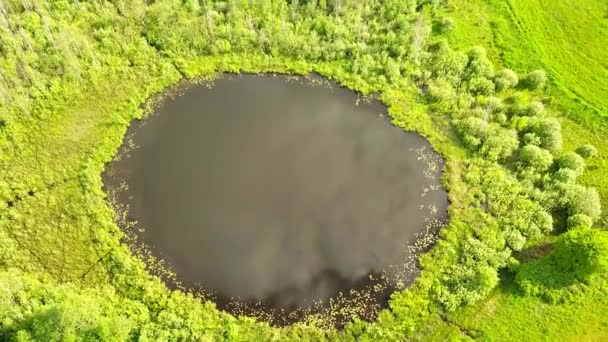 Vuelo aéreo desde la parte superior inferior sobre un pequeño lago con forma perfectamente redonda. — Vídeos de Stock