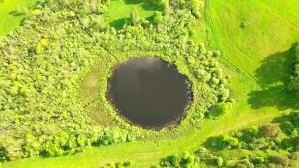 Vuelo aéreo desde la parte superior inferior sobre un pequeño lago con forma perfectamente redonda. — Vídeo de stock