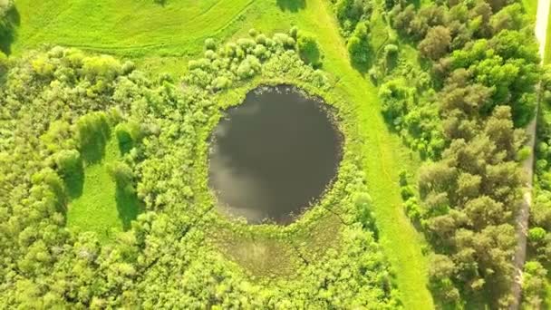空中飞行从顶部底部飞越一个圆形的小湖面. — 图库视频影像