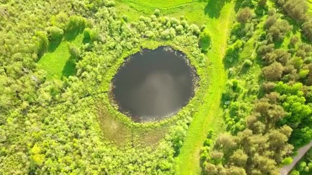 Εναέρια πτήση από πάνω προς τα κάτω πάνω από μια μικρή λίμνη με απόλυτα στρογγυλό σχήμα. — Αρχείο Βίντεο
