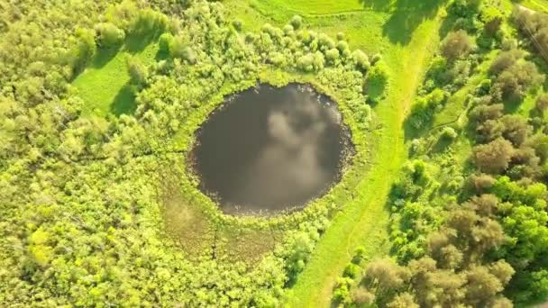 Voo aéreo de cima para baixo sobre um pequeno lago com forma perfeitamente redonda. — Vídeo de Stock