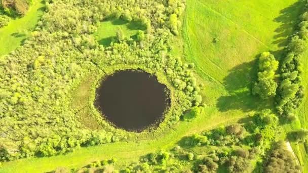 丸みを帯びた形状の小さな湖の上から下への航空便. — ストック動画