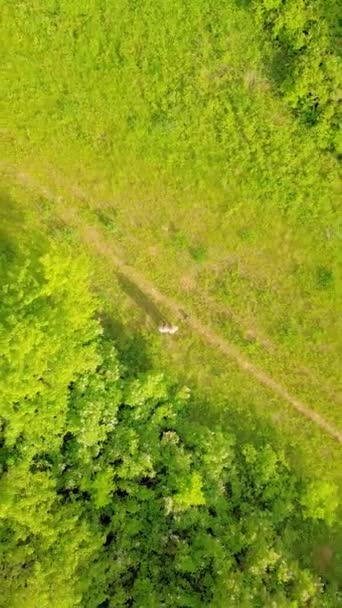 Homem e rapariga lançam drone e acenam para a câmara. cratera do meteorito com água. — Vídeo de Stock