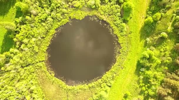 Luftflug von oben über einen kleinen See mit perfekt runder Form. — Stockvideo