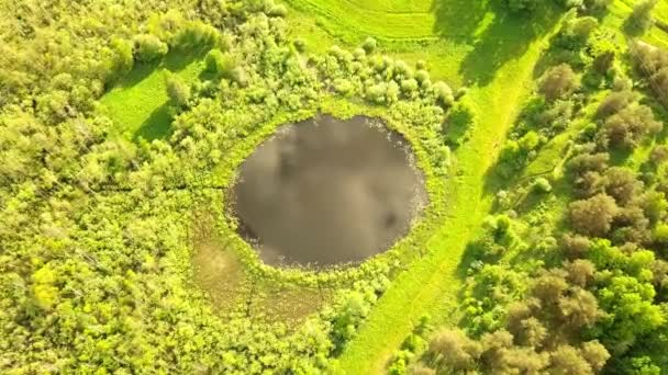 Voo aéreo de cima para baixo sobre um pequeno lago com forma perfeitamente redonda. — Vídeo de Stock