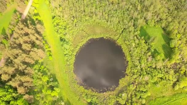 Voo aéreo de cima para baixo sobre um pequeno lago com forma perfeitamente redonda. — Vídeo de Stock