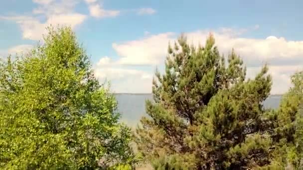 O drone voa sobre as árvores no fundo do lago. — Vídeo de Stock