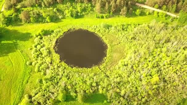 Lot z góry nad jeziorkiem o idealnie okrągłym kształcie. — Wideo stockowe