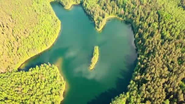 Lac en forme de coeur dans la forêt. coup de drone de merveille naturelle dans l'environnement naturel — Video