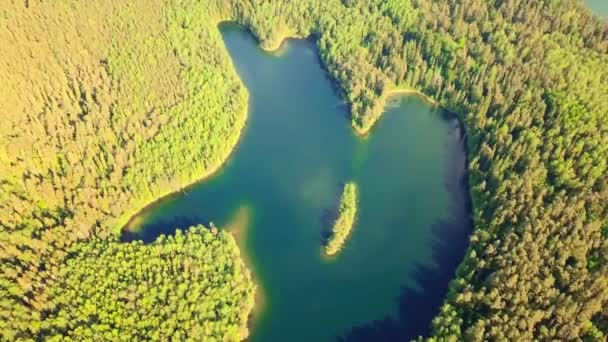 Сердцевидное озеро в лесу. Беспилотник природного чуда в природной среде — стоковое видео
