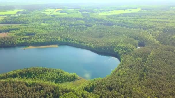 Volando sobre el lago del bosque de taiga. lugar pintoresco, gran lago rodeado de bosque — Vídeos de Stock